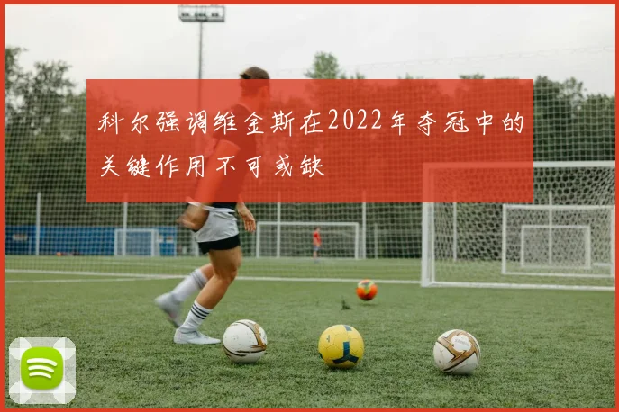 科尔强调维金斯在2022年夺冠中的关键作用不可或缺