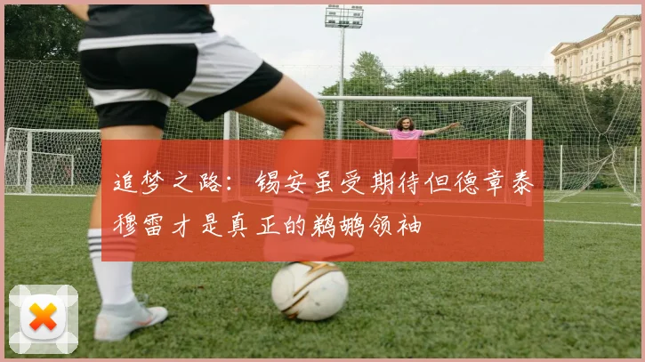 追梦之路：锡安虽受期待但德章泰穆雷才是真正的鹈鹕领袖