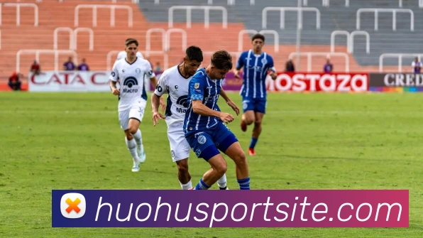 火狐体育服务体系